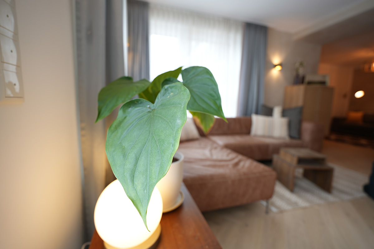 am-wildpfad-gal-28 Appartement Am-Wildpfad - Bad Goisern